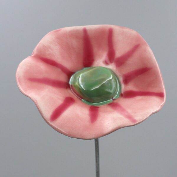 Coquelicot Rose clair et foncé cœur Vert lustré