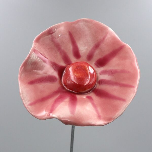 Coquelicot Rose clair et foncé cœur Rose lustré