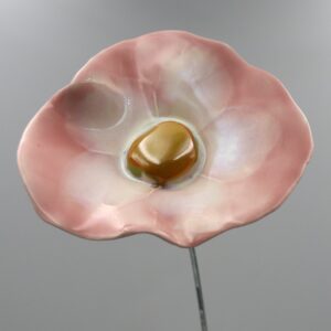 Coquelicot Rose clair Nuancé Blanc cœur Doré