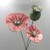 Coquelicot Violet clair et foncé cœur Vert Lustré – Image 3