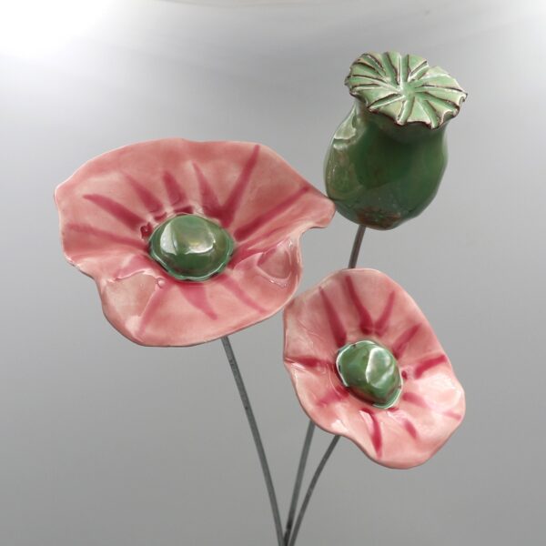 Capsule Blanche et Doré – Image 4
