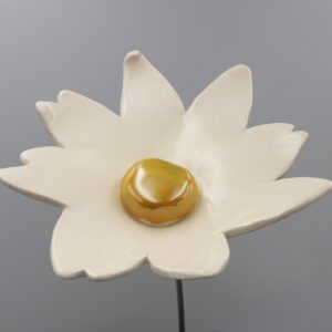 Fleur Cosmos Blanche cœur Doré