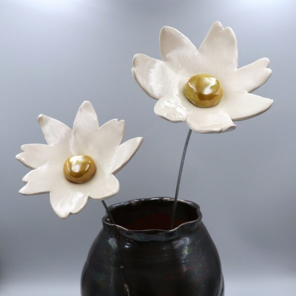 Fleur Cosmos Blanche cœur Doré – Image 2