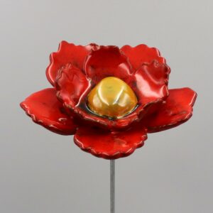 Fleur Sauvage Double Rouge Nuancé cœur Jaune Doré