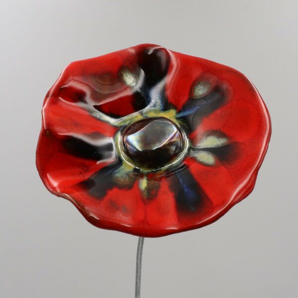 Coquelicot Rouge Nuancé Bleu et Doré cœur Métal