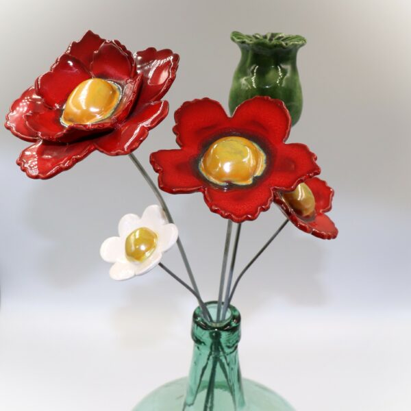 Capsule Vert Olive – Image 2