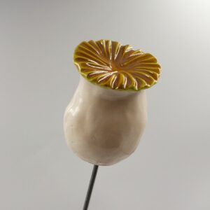Capsule Blanche et Doré