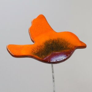 Oiseau Orange Nuancé