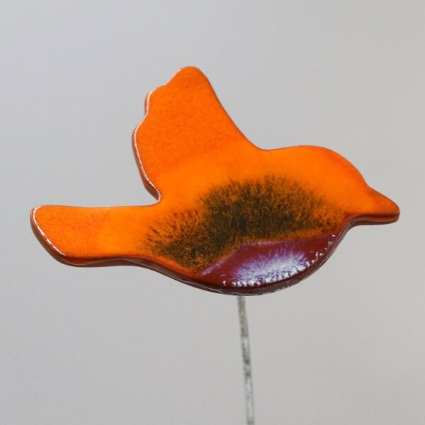 Oiseau Orange Nuancé