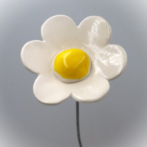 Fleur Blanche cœur Jaune vif