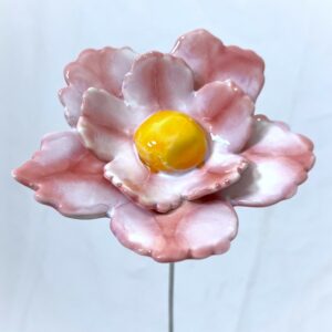 Fleur Sauvage Double rose et blanc nuancé cœur jaune orange