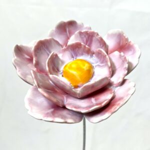 Pivoine triple Rose et Blanc nuancé cœur jaune orangé